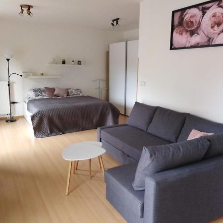 Apartment Archa Podebrady Exterior photo
