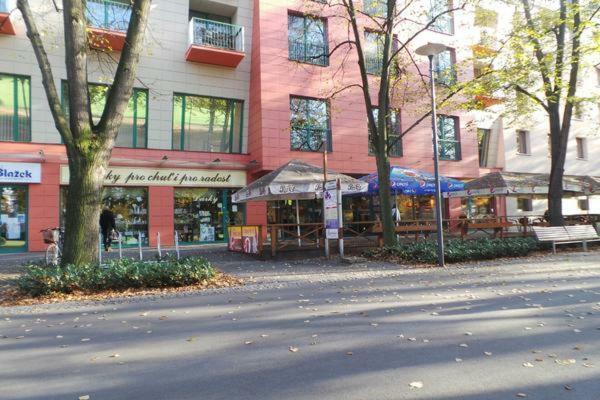 Apartment Archa Podebrady Exterior photo